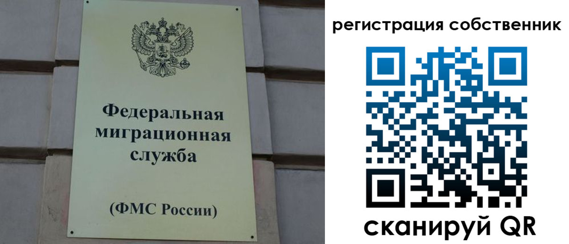 прописка гарантия в Московской области